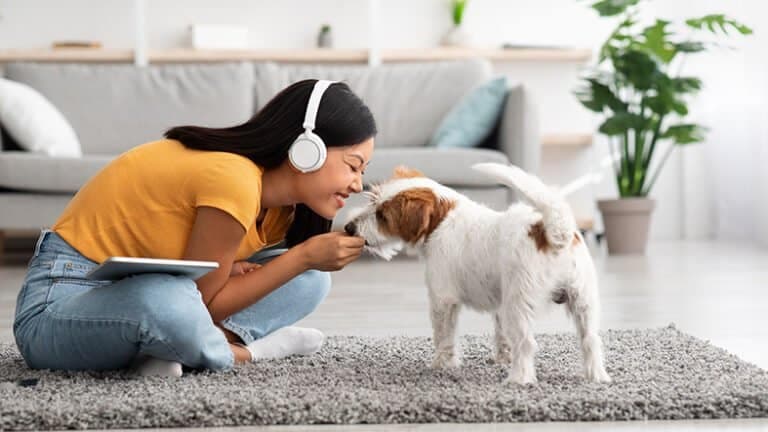 O poder dos pets: como eles podem ajudar a vender imóveis?