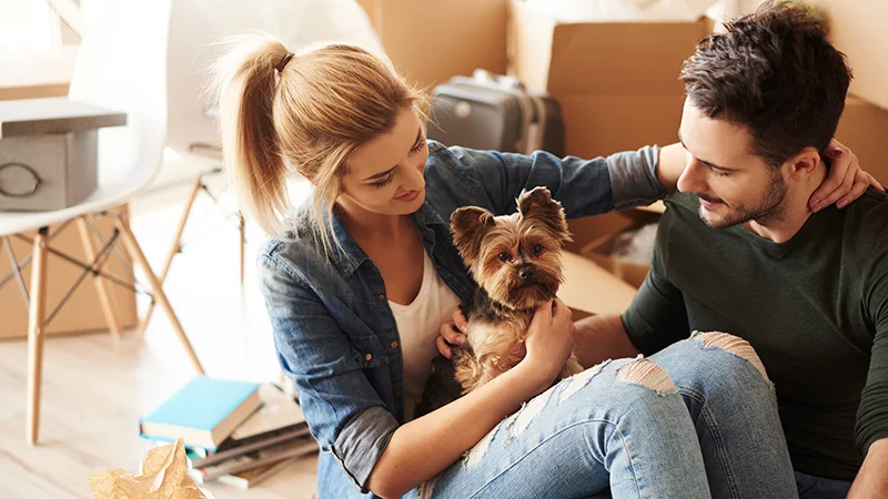 pets podem ajudar a vender imóveis